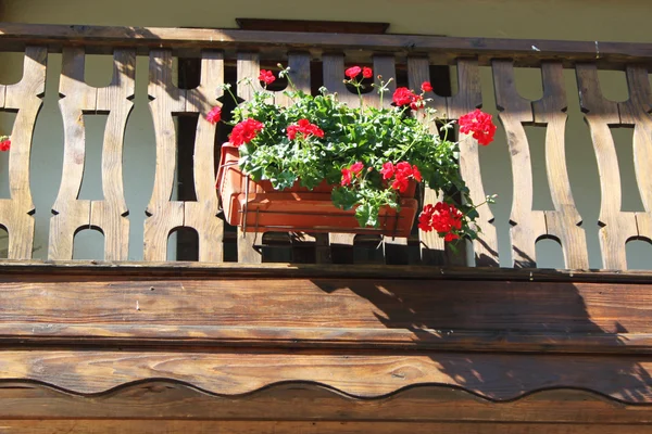 Portico dei fiori — Foto Stock