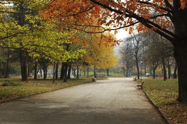 Empty park — Stock Photo, Image