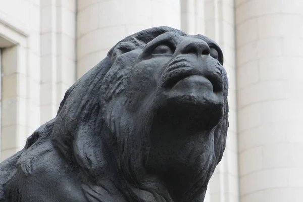 Löwenstatue — Stockfoto