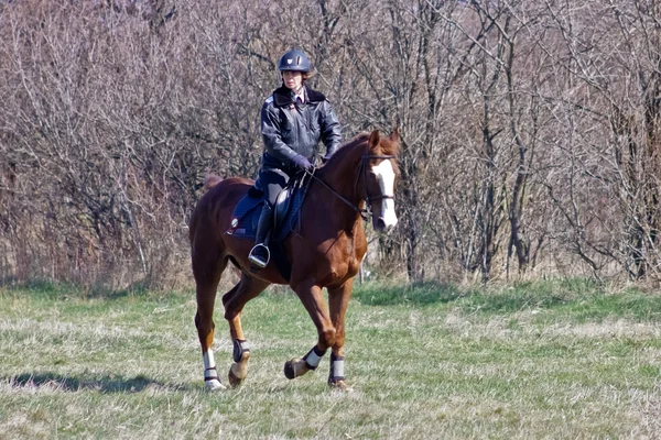 Jour de Théodore (Pâques à cheval ) — Photo