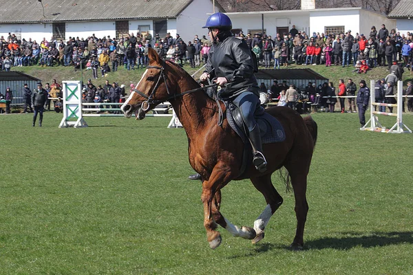 Jour de Théodore (Pâques à cheval ) — Photo