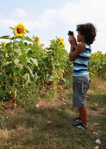 Fotografo — Foto Stock