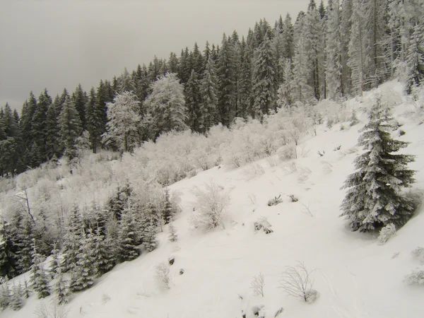 Paesaggio invernale — Foto Stock