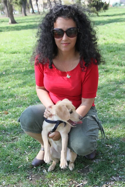 Little puppy — Stock Photo, Image