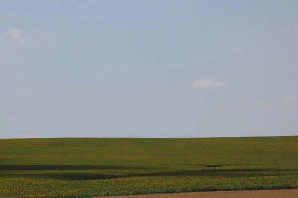 Fält — Stockfoto