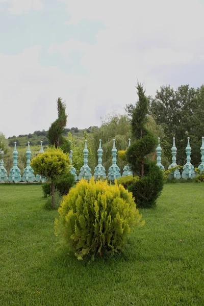 Hermoso jardín — Foto de Stock