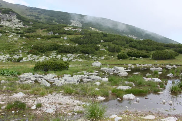 Pittoresco lago — Foto Stock