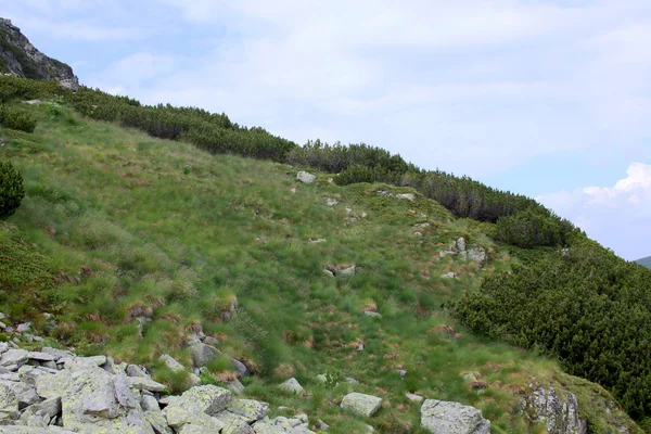 Högt berg — Stockfoto