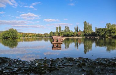 Güzel bir sonbahar gününde bir sürü ağacın ve yansımanın olduğu pitoresk bir gölün resmi.