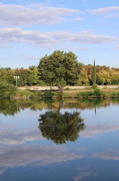 Egy Festői Képe Sok Fával Tükörképpel Egy Gyönyörű Őszi Napon — Stock Fotó