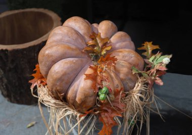 Cadılar Bayramı konsepti, kovada balkabağı, açık hava çekimi.