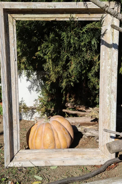 Koncepcja Jesienna Dynią Jesiennymi Liśćmi Starą Drewnianą Ramą Ujęcie Świeżym — Zdjęcie stockowe