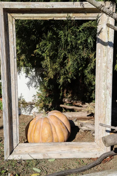 Concepto Otoñal Con Calabaza Hojas Otoñales Viejo Marco Madera Plano — Foto de Stock