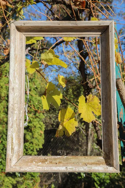 Jesienna Koncepcja Bukietem Kwiatów Trawy Jesiennych Liści Starą Drewnianą Ramą — Zdjęcie stockowe
