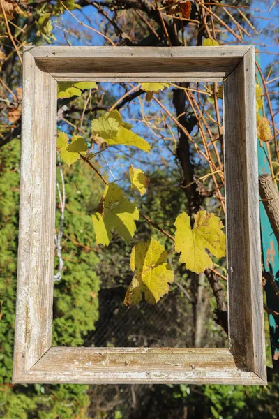 Concepto Otoñal Con Ramo Flores Hierba Hojas Otoño Viejo Marco — Foto de Stock