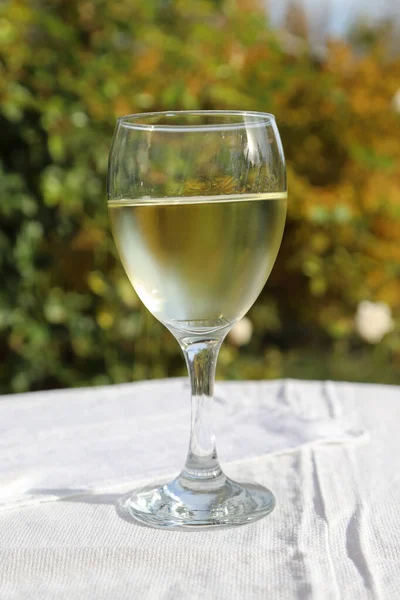 Nahaufnahme Bild Von Einem Glas Wein Freien Herbstfarben Aufgenommen — Stockfoto