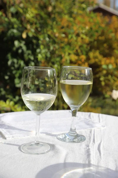 Sonbahar Renklerinde Açık Havada Çekilmiş Iki Kadeh Şarabın Yakın Çekimi — Stok fotoğraf