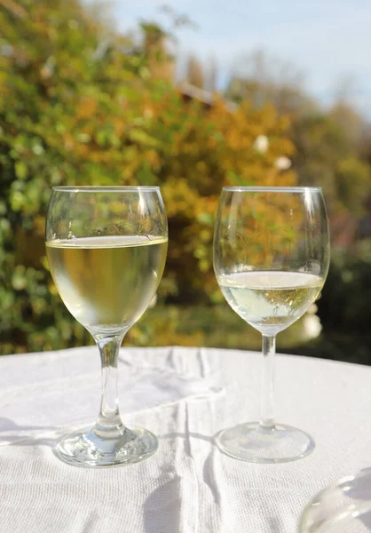 Nahaufnahme Bild Von Zwei Gläsern Wein Freien Herbstfarben Geschossen — Stockfoto