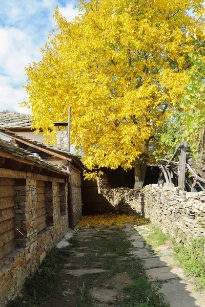 Een Herfst Uitzicht Van Oude Stad Een Bulgaarse Stad Van — Stockfoto