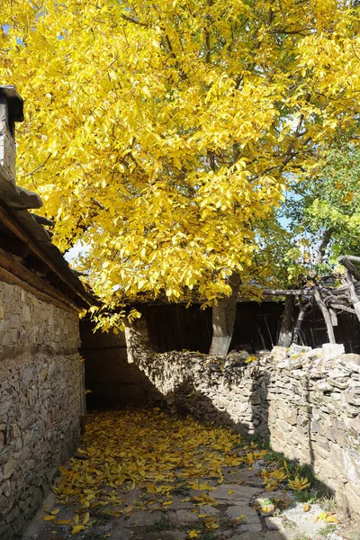 Autumn Old Town Plovdiv Bulgaria — Stock Photo, Image