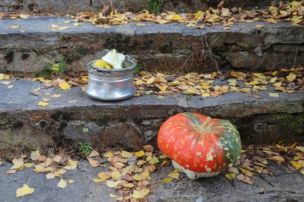 Autumnal Concept Colorful Leaves Shot Outdoor — Stock Photo, Image