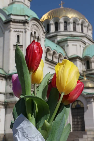 Ein Strauß Bunter Tulpen Vor Der Alexander Newski Kathedrale Bulgarien — Stockfoto