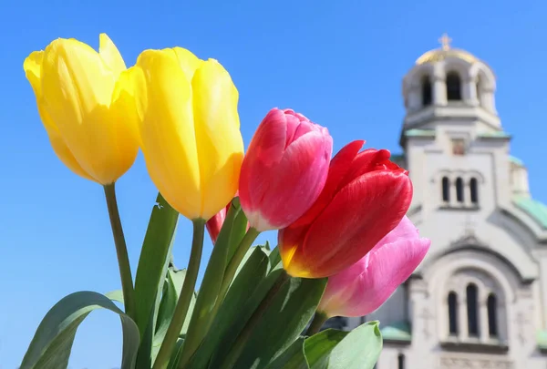 Montón Tulipanes Coloridos Frente Catedral Alexander Nevsky Bulgaria —  Fotos de Stock