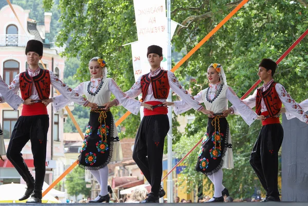Kyustendil Βουλγαρία 2022 Φεστιβάλ Κεράσι Στο Kyustendil 2022 — Φωτογραφία Αρχείου