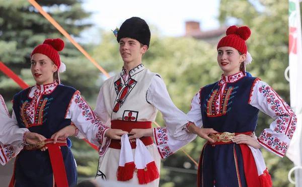 Kyustendil Bulgaria 2022 Cherry Festival Kyustendil 2022 — Stockfoto