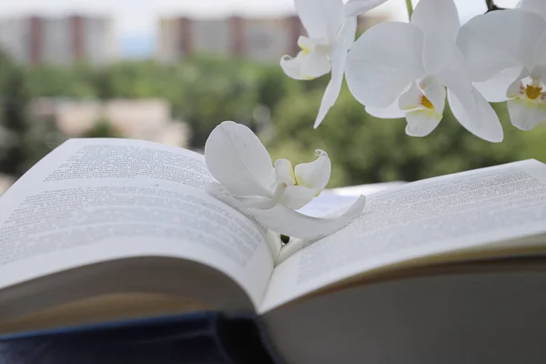 Romantický Koncept Krásnou Bílou Orchidejí Modrou Knihou Bílém Plátně Venkovní — Stock fotografie