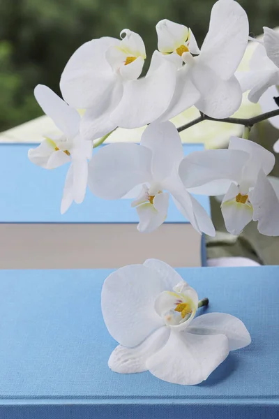 Concetto Romantico Con Una Bella Orchidea Bianca Libro Blu Stoffa — Foto Stock