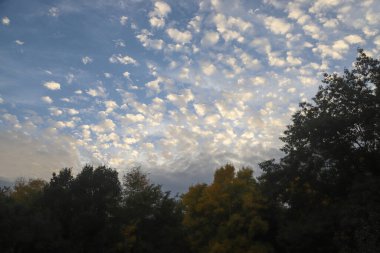 Gün batımından hemen önce renkli bir ormanın üzerinde kabarık bulutlarla sonbahar baskısı 
