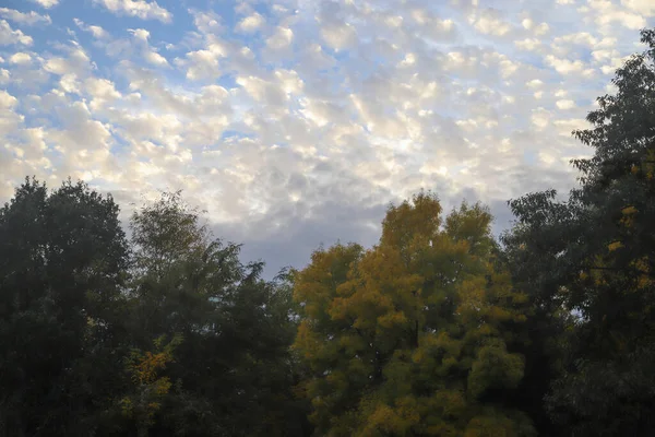 Impresión Otoñal Con Nubes Esponjosas Sobre Colorido Bosque Justo Antes — Foto de Stock