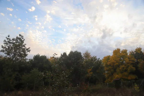 Impression Automnale Avec Des Nuages Duveteux Sur Une Forêt Colorée — Photo