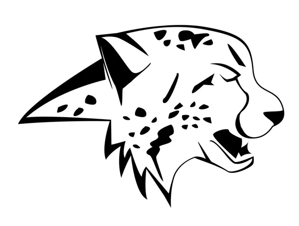 Cheetah vector — Stock Vector