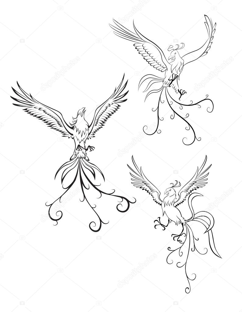 Phoenix Stock Vector Image By C Premiumdesign 1633 Phoenix Stock Vector Image By C Premiumdesign 1633