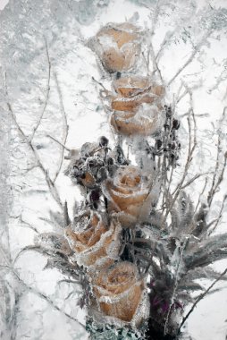 Flowers frozen in ice clipart