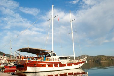 Bay güzel yat