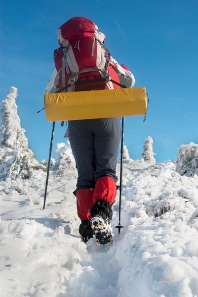 Caminata en una montaña de invierno —  Fotos de Stock