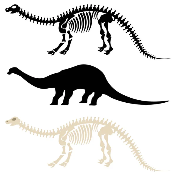 Diplodocus Dinossauro Vetorial Fundo Branco Conjunto Silhuetas Esqueletos — Vetor de Stock
