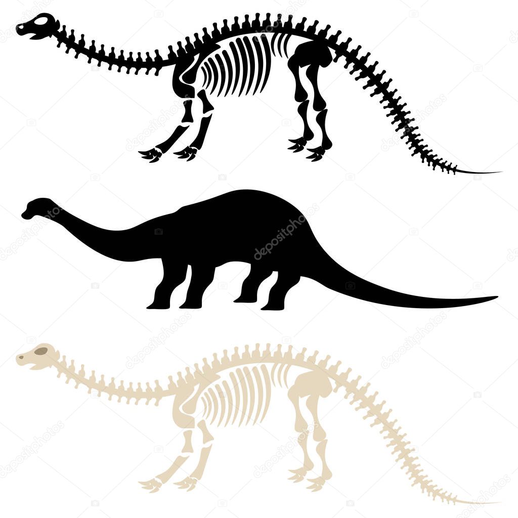 Vector dinosaur diplodocus on a white background. A set of silhouette and skeletons.