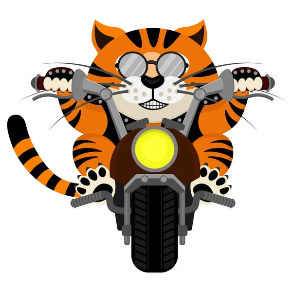 Gato Motoqueiro Ilustração Vetorial Motociclista Tigre — Vetor de Stock