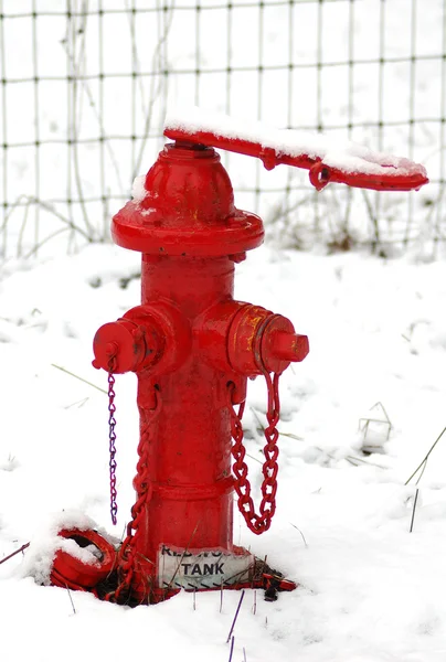 Karlı hidrant — Stok fotoğraf