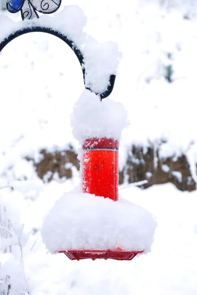 Alimentador de nieve — Foto de Stock