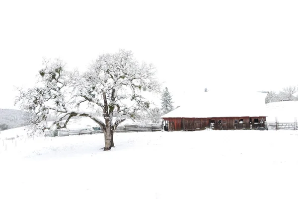 Snow on the Ranch — Stock Photo, Image