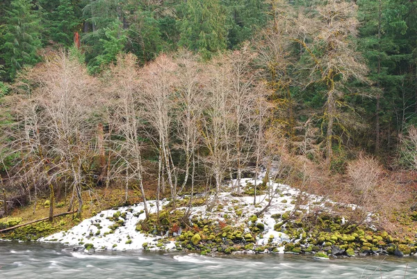 North Umpqua — Stock Photo, Image