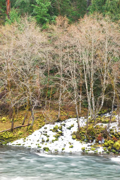 North Umpqua — Stock Photo, Image