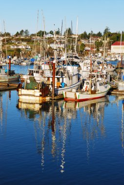 Altın Port