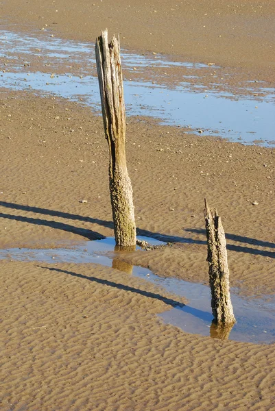 Cais de Canharia — Fotografia de Stock