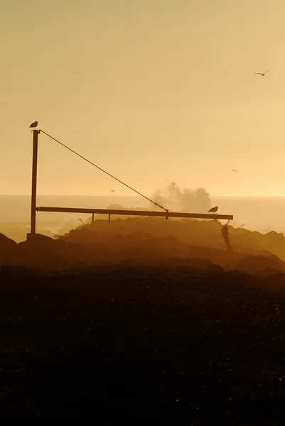 Gold Jetty — Stock Photo, Image